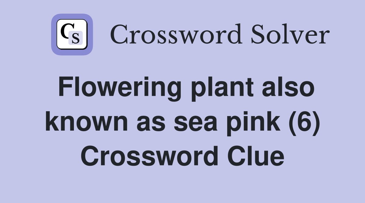 Flowering plant also known as sea pink (6) Crossword Clue Answers